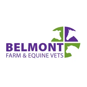 https://cdn.vetverified.com/logos/390b3f8358f4e32ccc5dd3e7a4403845884f3a6c1c911b80bb7b08ba646a4a38.webp logo