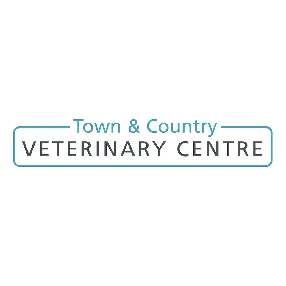 https://cdn.vetverified.com/logos/4299486629c02c000898a06e474275e9e6698e8abe9803feff0bfaacb42c0022.webp logo