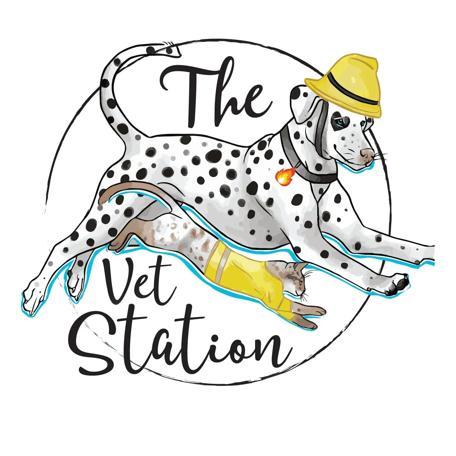 https://cdn.vetverified.com/logos/4381879107d5e713d00fc22ca27b0f0122cf19ad515444d60b6ad69174c004d9.webp logo https://cdn.vetverified.com/logos/4381879107d5e713d00fc22ca27b0f0122cf19ad515444d60b6ad69174c004d9.webp logo