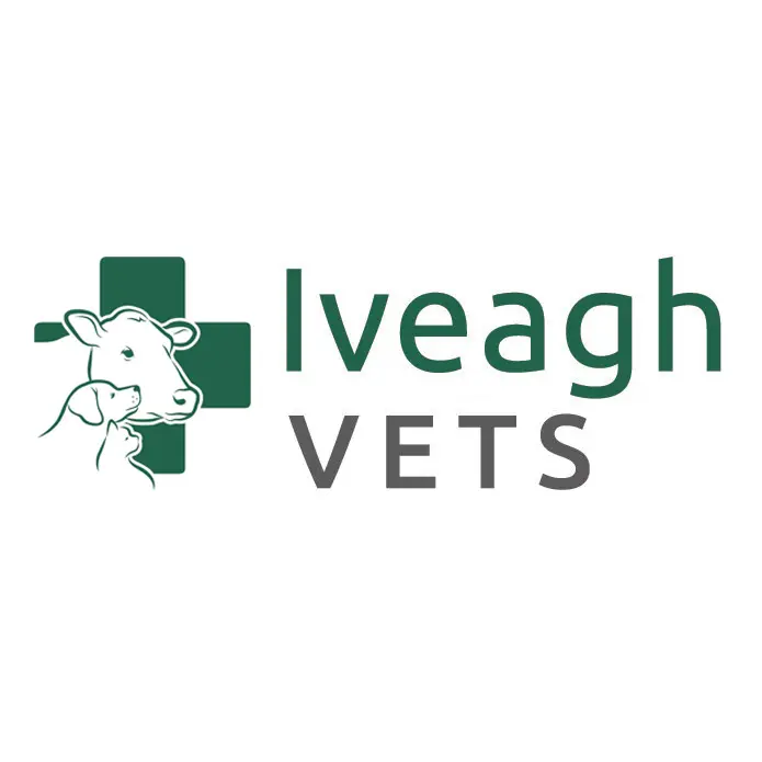 https://cdn.vetverified.com/logos/467644b8632f74c3620088ec85223da7e90449b985d3798ca68841288db74524.webp logo