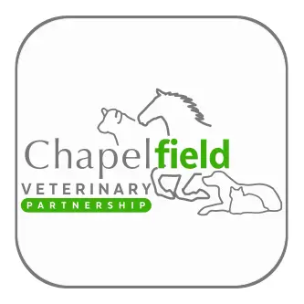 https://cdn.vetverified.com/logos/50b6bef9de219fbdad282c42d38a8c050730da283c8c833422a17b01d9524c93.webp logo