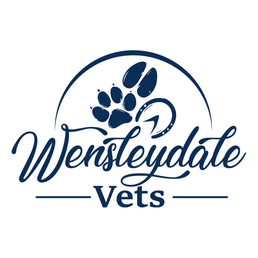 https://cdn.vetverified.com/logos/57a03468ee6d5f1c5b7d2cc22416cdd3027cabb611ac652fe2d4619278a0628e.webp logo https://cdn.vetverified.com/logos/57a03468ee6d5f1c5b7d2cc22416cdd3027cabb611ac652fe2d4619278a0628e.webp logo