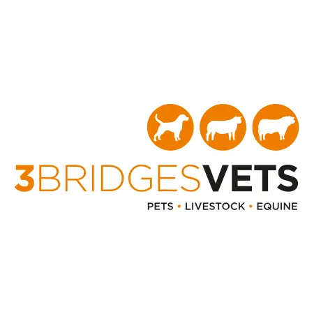 https://cdn.vetverified.com/logos/5d23c3be3444a3fbbc3306a1bf9e763f678b3c1389fae6f120f2eb63f23efc17.webp logo