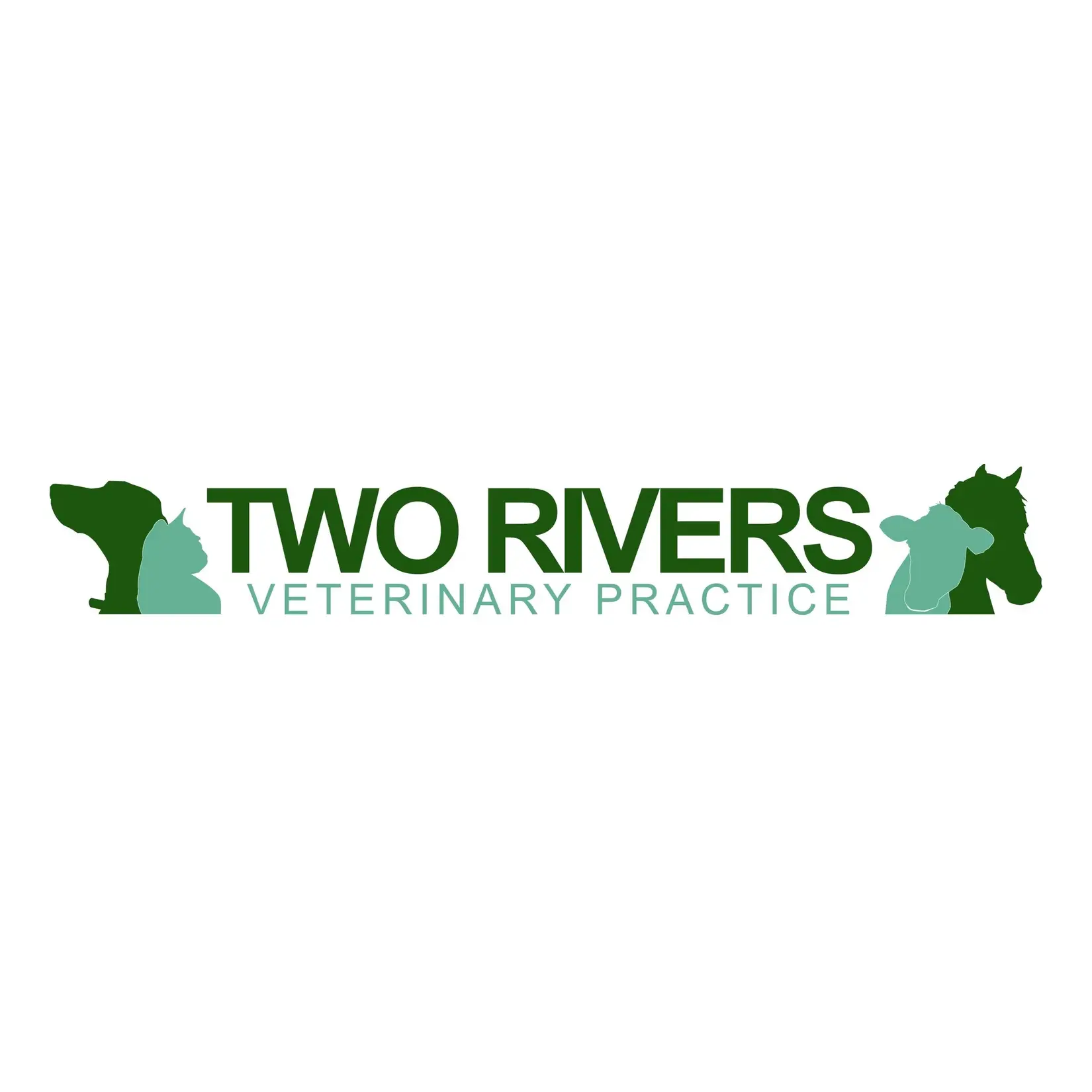 https://cdn.vetverified.com/logos/5da073245e8eb7ec216468ec6926d89688cd5466bce2e452c0a48badf0a6f6f5.webp logo