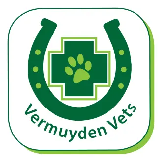 https://cdn.vetverified.com/logos/6021f8025a7dcf9d9c84901db90db3b8cf8bbbb139796118e12e3b3f4a5dc6b0.webp logo