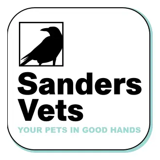 https://cdn.vetverified.com/logos/61037d1e74c19d06b6a0cb650dff8e8796b3bad7f9ceaaa34ae5955eb83345e9.webp logo