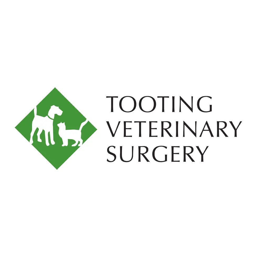 DNA Vetcare - Tooting Veterinary Surgery