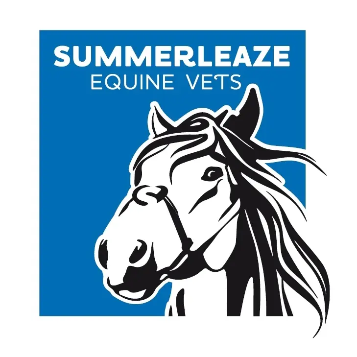 https://cdn.vetverified.com/logos/63535b6f08bd059f29444ec13653a2f2b82fc6e5f62e13d02484430c6d9a76f3.webp logo