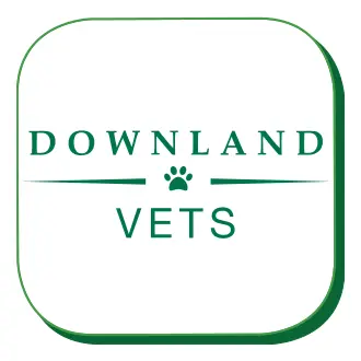 https://cdn.vetverified.com/logos/63a1a825a2bc7207bec776e7ddb1f36e5222a1680c65b4885185bc6693c9f32f.webp logo