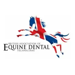 Open Wide Equine Dentistry also Sally Kingsley Vet Equine Dentistry logo