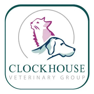 https://cdn.vetverified.com/logos/70e68e328bc64147d523e4184f4c3e515a9754667a3bdcbb555c481b9ba711f2.webp logo