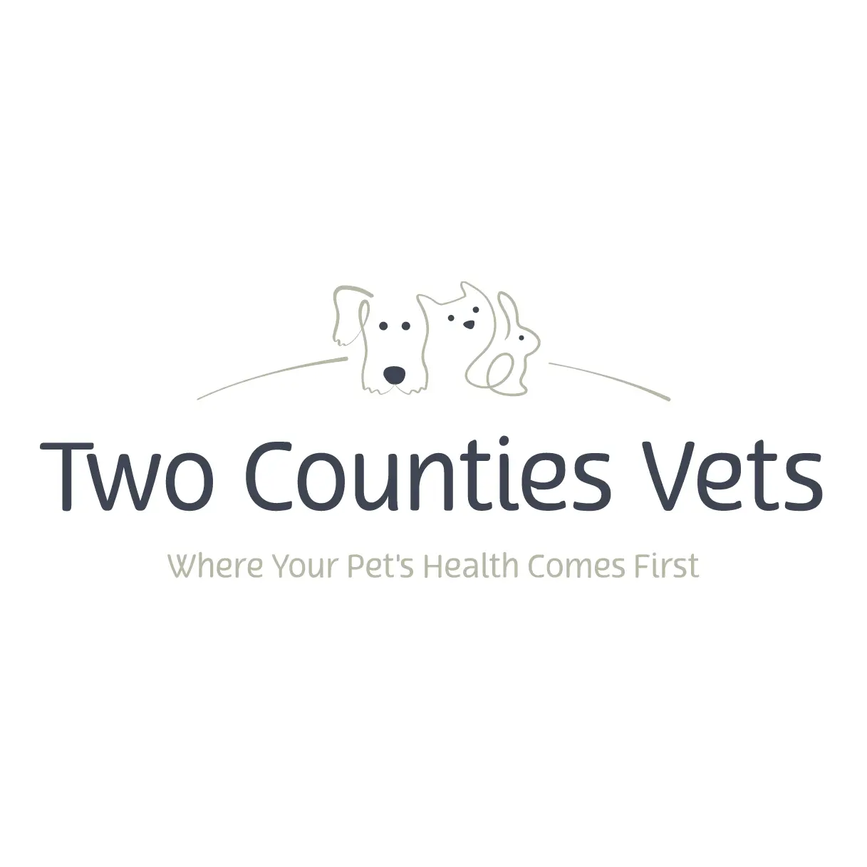 Two Counties Vets - Bessacarr