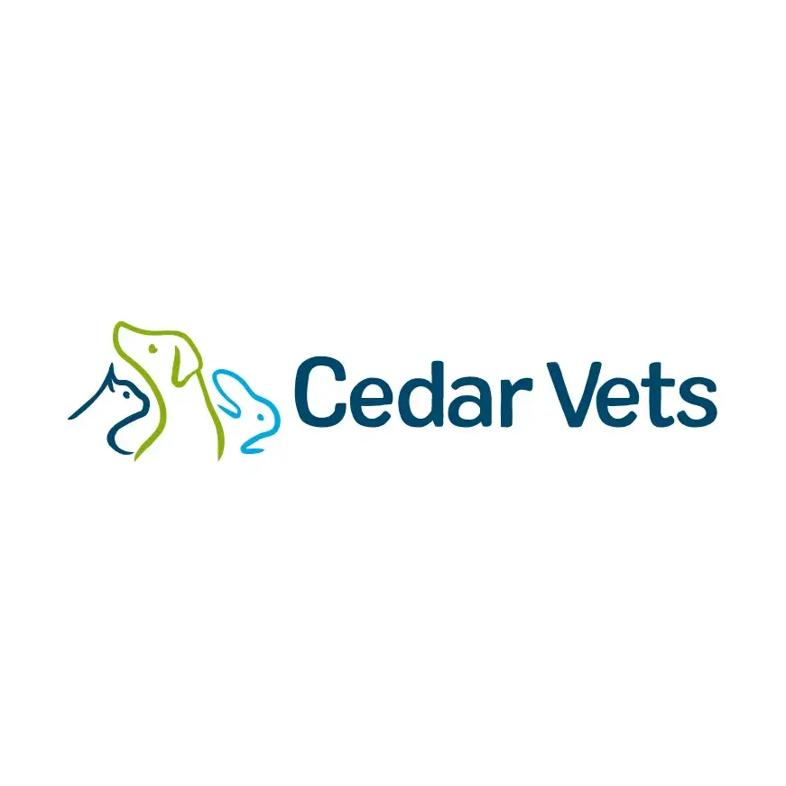 https://cdn.vetverified.com/logos/73267b6c9c7efe28bfa171e5415f3725c2b70e01e8c36a3530693989d6517a04.webp logo