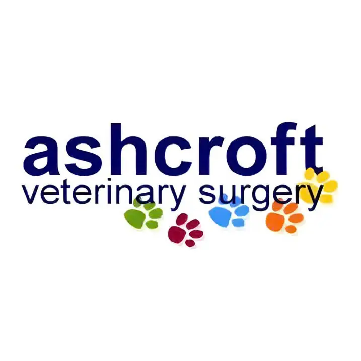 https://cdn.vetverified.com/logos/7c3ab638fb239bb1c7b1374089493d7a6b981c50dc830fd56be2e79d90650754.webp logo https://cdn.vetverified.com/logos/7c3ab638fb239bb1c7b1374089493d7a6b981c50dc830fd56be2e79d90650754.webp logo