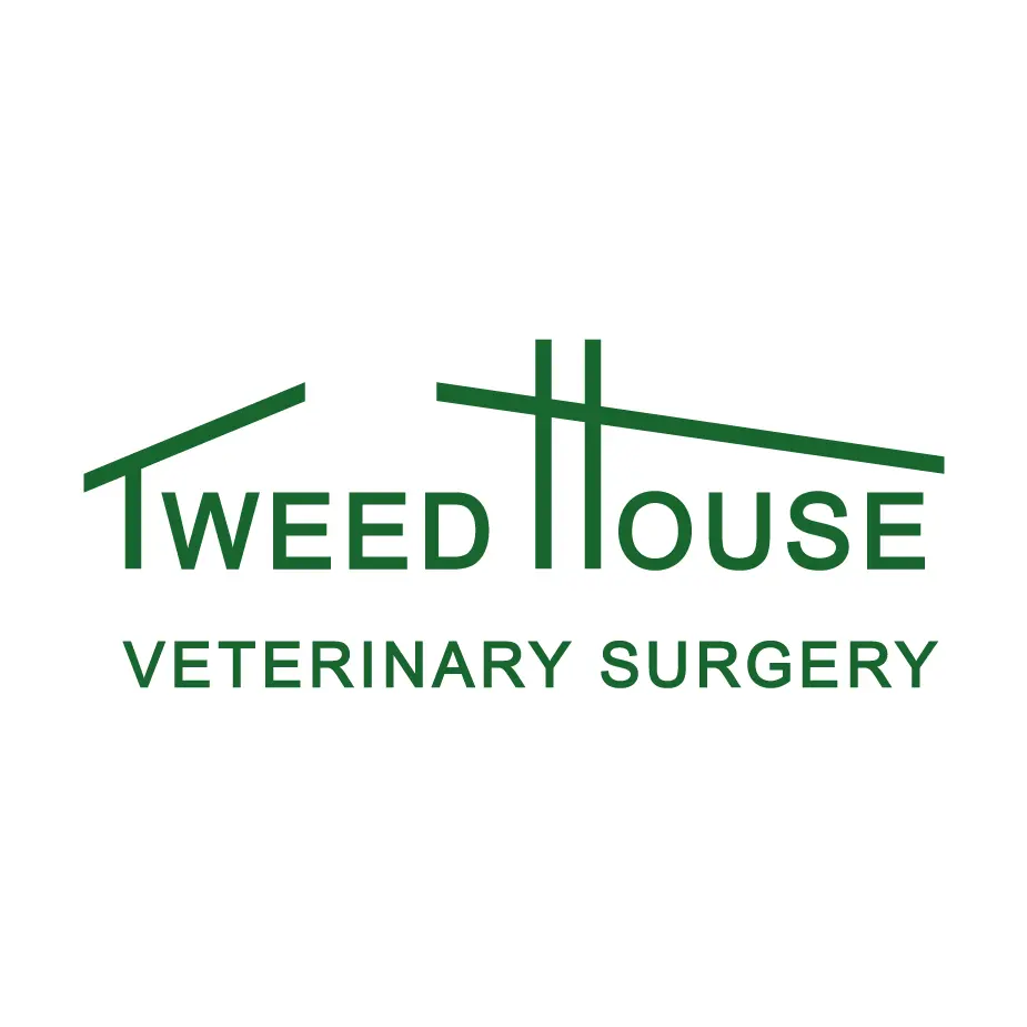 https://cdn.vetverified.com/logos/7f0c63482c5d600d9b6dcb6c20569c23c2d4f50939381d9889437434e9fa75dd.webp logo