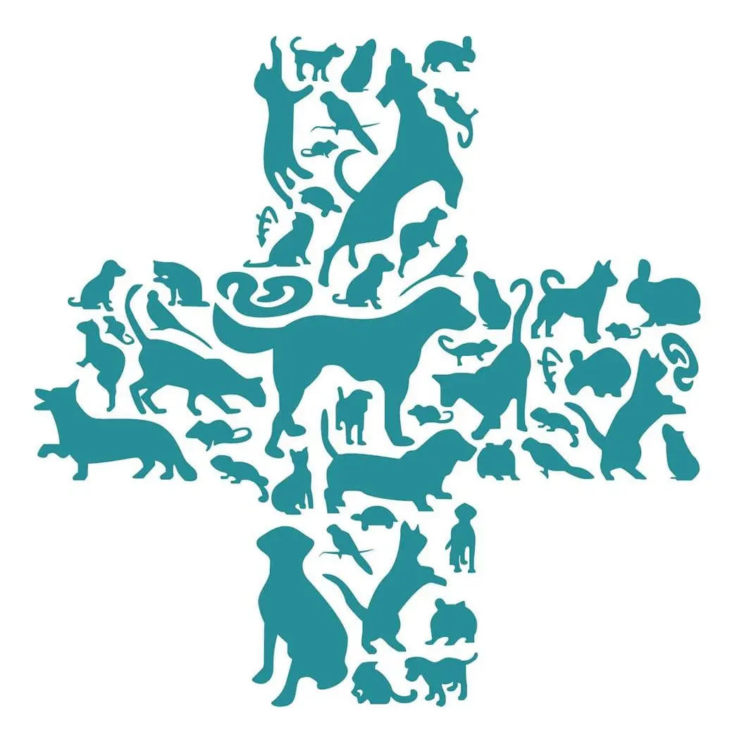 https://cdn.vetverified.com/logos/84b9d8ba1ae406bea05cd7d31ef9e87edc1770e494281d6dbd13c36202f155f8.webp logo