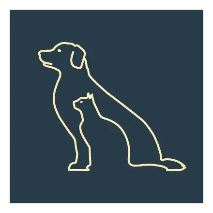 https://cdn.vetverified.com/logos/87466c950fad85853c8c1ccd2fb721274bbf7a2b328bf0f11e6f716a7674e558.webp logo