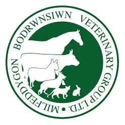 https://cdn.vetverified.com/logos/8b317ac723f74ff2011b3abebc4d121efa037cb9174cb620216037603606134b.webp logo