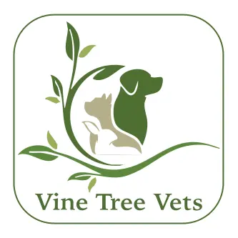 https://cdn.vetverified.com/logos/8fa9467bb21b8465dde7053ce8cfe5027c8631ca1c8e199c2bfa21e8fc650c1c.webp logo