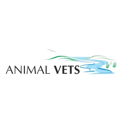 https://cdn.vetverified.com/logos/90182f5927dd786c02e1b2f7ee2767679bdee79ab3f4c128f557c513536e32d1.webp logo