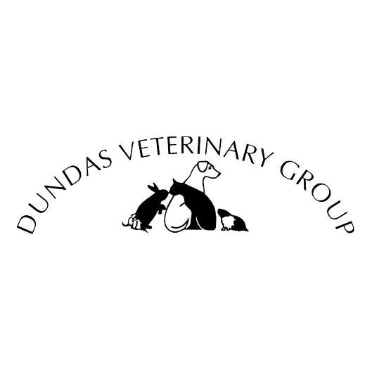 Dundas Veterinary Group Ltd logo