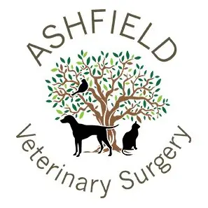 https://cdn.vetverified.com/logos/9681da639c2cf071d30804af89facabe47fe95362e92536ce9046efcd40bafe0.webp logo