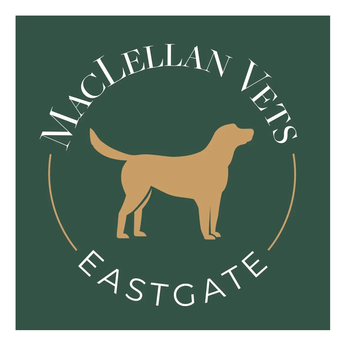 https://cdn.vetverified.com/logos/9aa79deaaf660cc18a96b539fed929b54f282df8a53c2c9a22dc7b53256bd56f.webp logo