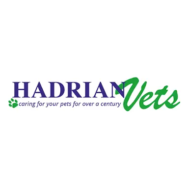 https://cdn.vetverified.com/logos/9b85bbead6e6c92f8cdb89f64013af5a2926948913b5d2123b28c0d44894d697.webp logo