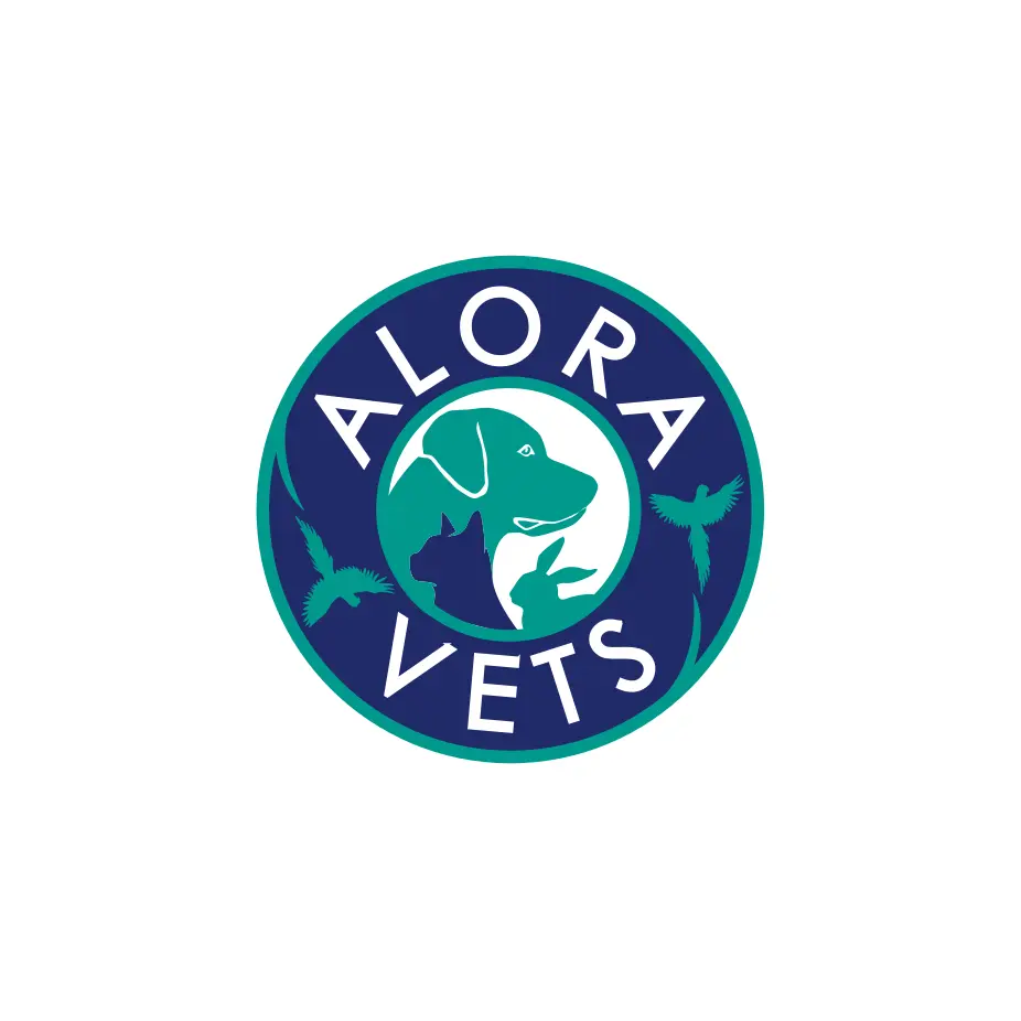 https://cdn.vetverified.com/logos/9d1f332ea21851ad0b50dc1f2bef753302dfc57aacdf7b0c116985b3fd099252.webp logo