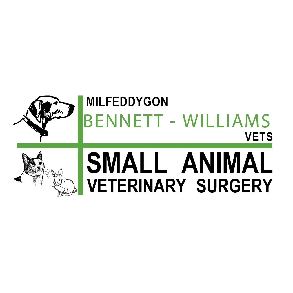 https://cdn.vetverified.com/logos/9eb167aaaa87265a8d78eea2fe48463da0aaf7da95e98a17e00a0c7517e6b71f.webp logo