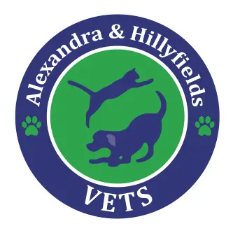 https://cdn.vetverified.com/logos/a189e52da3891a5faba005d849ce96bd0495000b6316ae9d7d2cc54c458230a2.webp logo