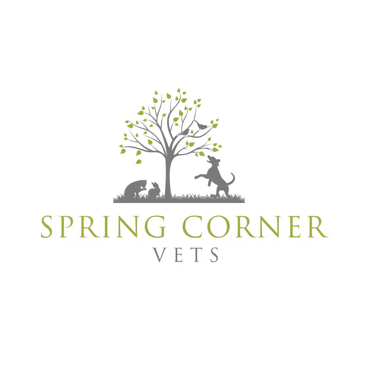 https://cdn.vetverified.com/logos/a1d8a782fb260db7dc3d836f4e815476f2183492b31a77998946581f4ad20a42.webp logo