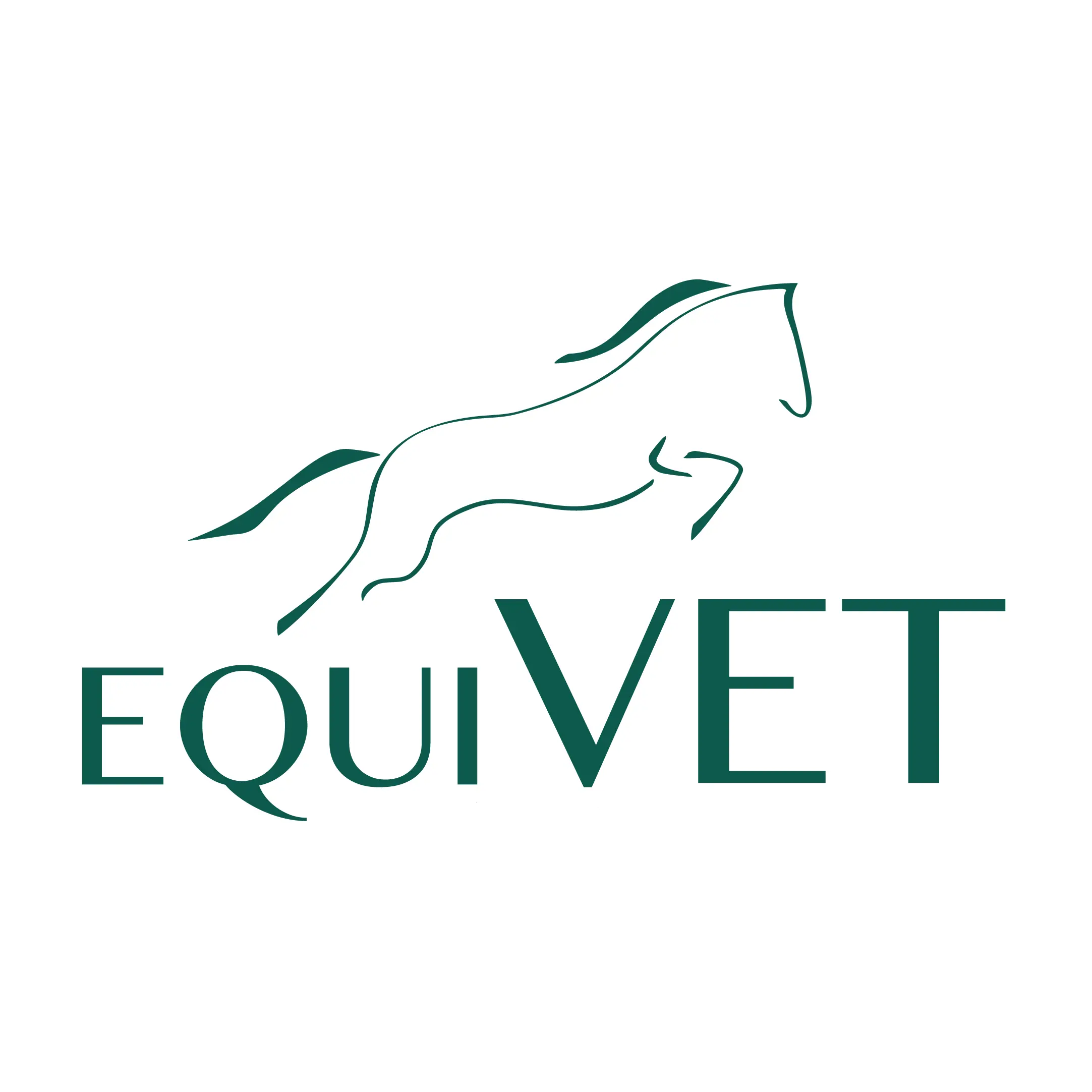 https://cdn.vetverified.com/logos/a37cf40e4eccbda7628f03d5c5cdae51a40b4c3e4111655c3a0ba6157c5acdd1.webp logo