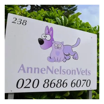 https://cdn.vetverified.com/logos/a4b01a9dbe0d80a8674aa4014ae879cfb0a2d54baf91857e1a140d38e3419c60.webp logo
