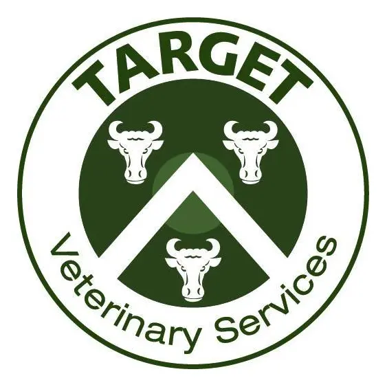 https://cdn.vetverified.com/logos/a5fecbdca4c7ddf45358c8aba149cafb46b3ac6231822cd0108a7592d8f686b3.webp logo