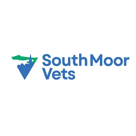 https://cdn.vetverified.com/logos/a71cd07d7e62d3485a96010cea8da384289e912616e3a8452089c7d8fba77fb4.webp logo