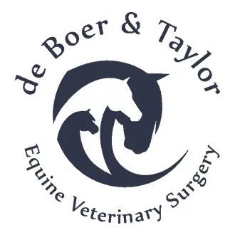 https://cdn.vetverified.com/logos/aa636894d21a8b31fde1f48516aa9d8f9083cbfbe7aee2af39d342fdcd38ccef.webp logo
