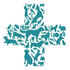 https://cdn.vetverified.com/logos/ac79dd62926bc7f4215da686dfbc673b779952328183f787d023792c6a6c01af.webp logo https://cdn.vetverified.com/logos/ac79dd62926bc7f4215da686dfbc673b779952328183f787d023792c6a6c01af.webp logo