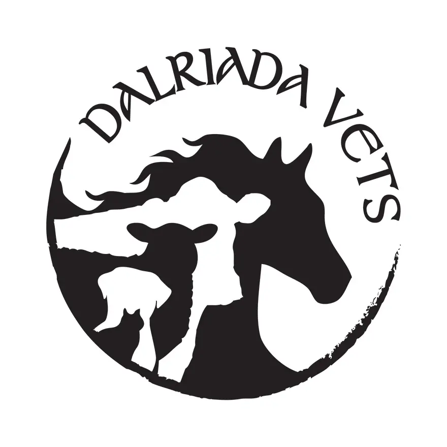 https://cdn.vetverified.com/logos/b0bb4eb98a2fd67f957575d35ae860367cf131b69096ee594077820b432205ea.webp logo