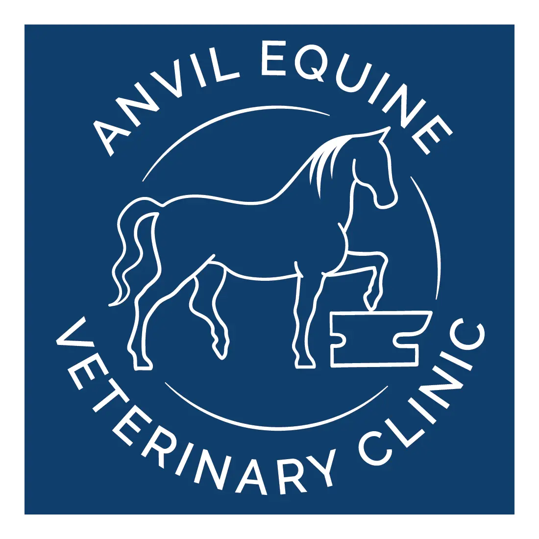 Anvil Equine Veterinary Clinic logo