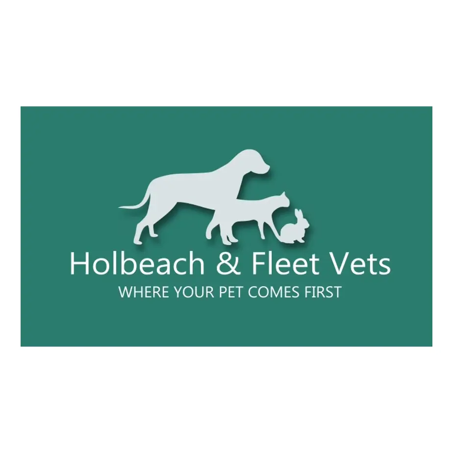 https://cdn.vetverified.com/logos/b533354903dabab87237c89287e7f195e8498e1f18050fa5b6700ada0a1623e9.webp logo