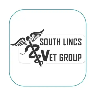 https://cdn.vetverified.com/logos/b5f119099c3a61498030e89731af6feef89ac2b5695de32c321f7326e1351469.webp logo