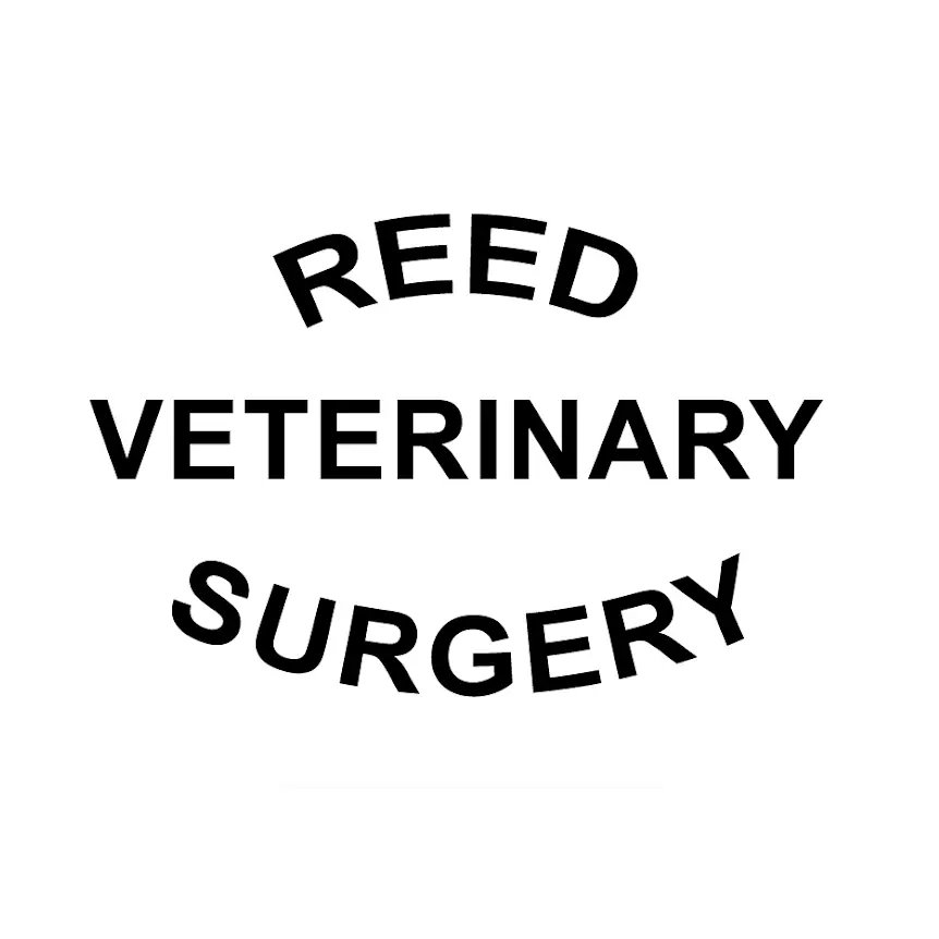 Reed Veterinary Surgery