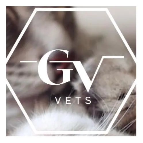 https://cdn.vetverified.com/logos/b87ff1bad7484fb83864e510278b5f7c53ada3be8480f068cb68a487ca30f68f.webp logo