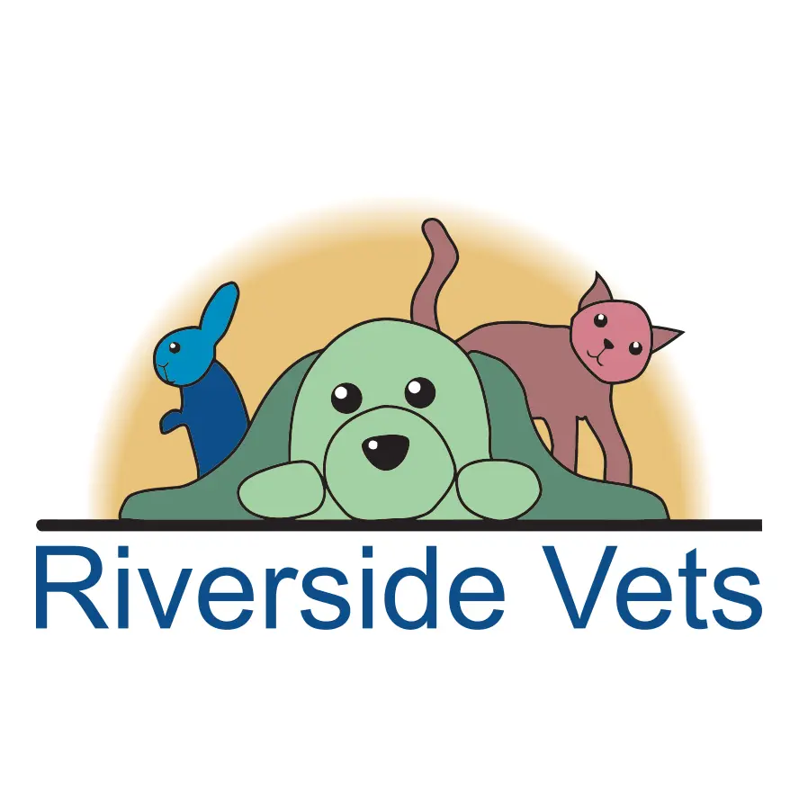 https://cdn.vetverified.com/logos/ba56e7bd23f9061d202be2b74bcfaba4f6106ec6edeb6aceb1235767c16c02b4.webp logo https://cdn.vetverified.com/logos/ba56e7bd23f9061d202be2b74bcfaba4f6106ec6edeb6aceb1235767c16c02b4.webp logo