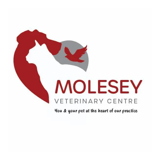 https://cdn.vetverified.com/logos/ba67a74d33ca404910012bbaa98229264485c94301e7e590dfb6c584bc393b20.webp logo