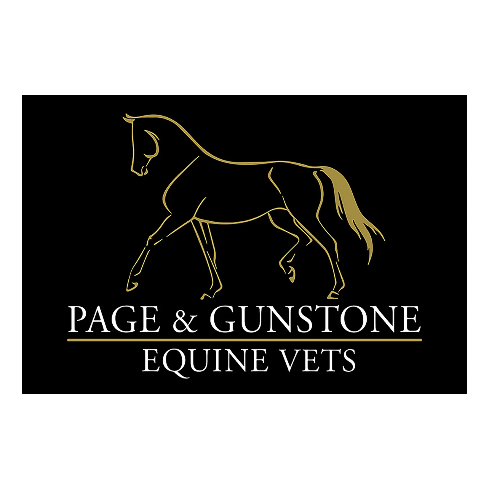 https://cdn.vetverified.com/logos/bf46d485496a3774bd692511640806ded2c5a1905b2492eda956d849be72356a.webp logo