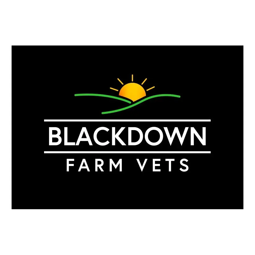https://cdn.vetverified.com/logos/bff6ce41239751d56073bf63fe3dc583e64c5977da43b82e038ed236f0fa169d.webp logo https://cdn.vetverified.com/logos/bff6ce41239751d56073bf63fe3dc583e64c5977da43b82e038ed236f0fa169d.webp logo