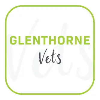 https://cdn.vetverified.com/logos/c29a1ffeec72cebc8c438b13bfe916cb5b7b03625679c64de9965c35dcf56623.webp logo