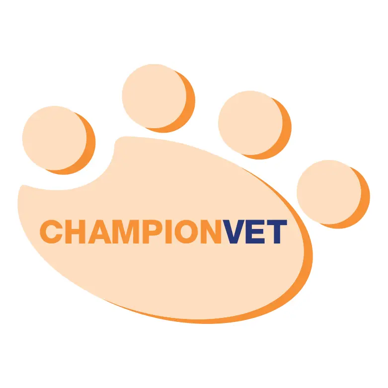 https://cdn.vetverified.com/logos/c6b53eac373e664a01783151fc434d4ff02fa630cbad884ba1b23999cdf6980c.webp logo